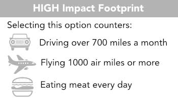 High impact footprint: driving over 700 miles a month, flying over 700 miles a month, eating meat every day