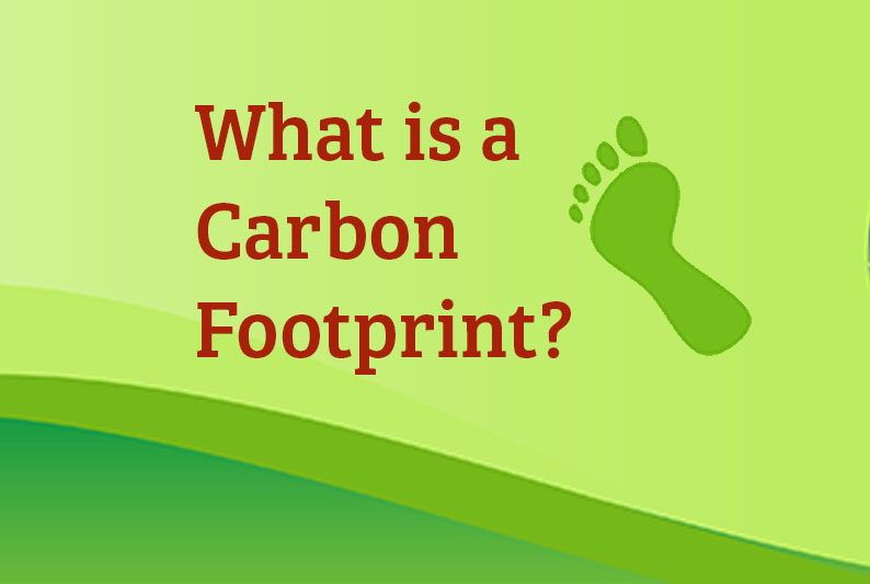 What is a Carbon Footprint? • Legacy Solar Co-op